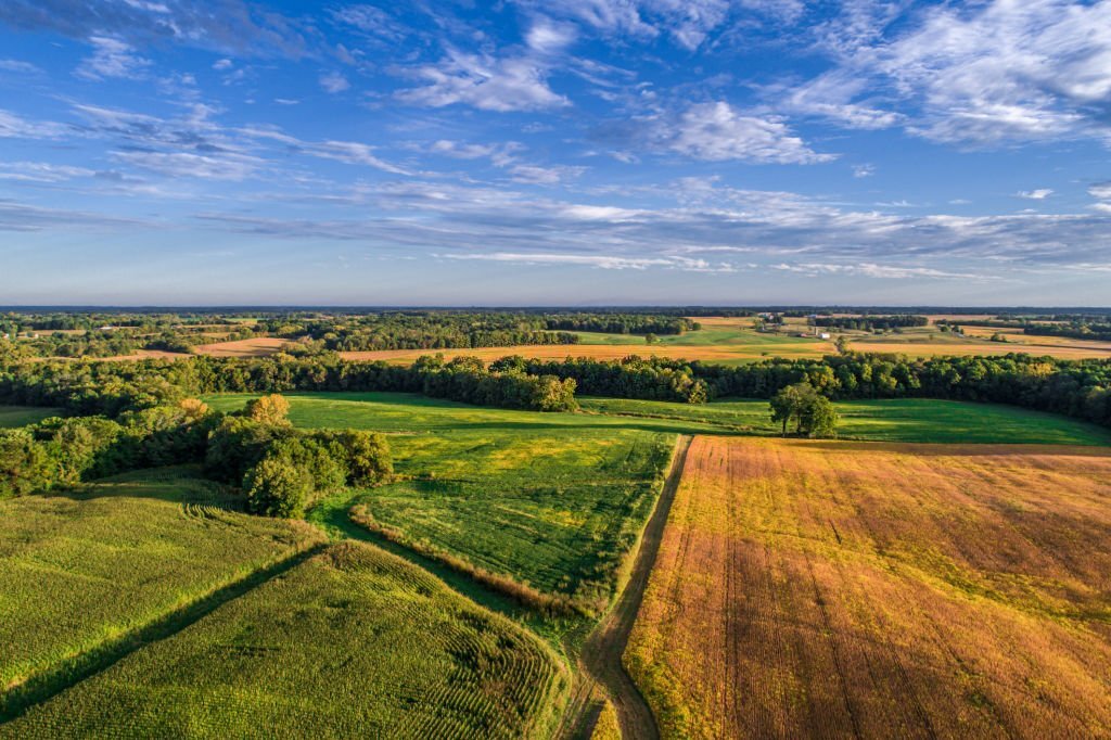 An aerial drone photo over the fields and dirt road lanes in the fields during the golden light of the morning.